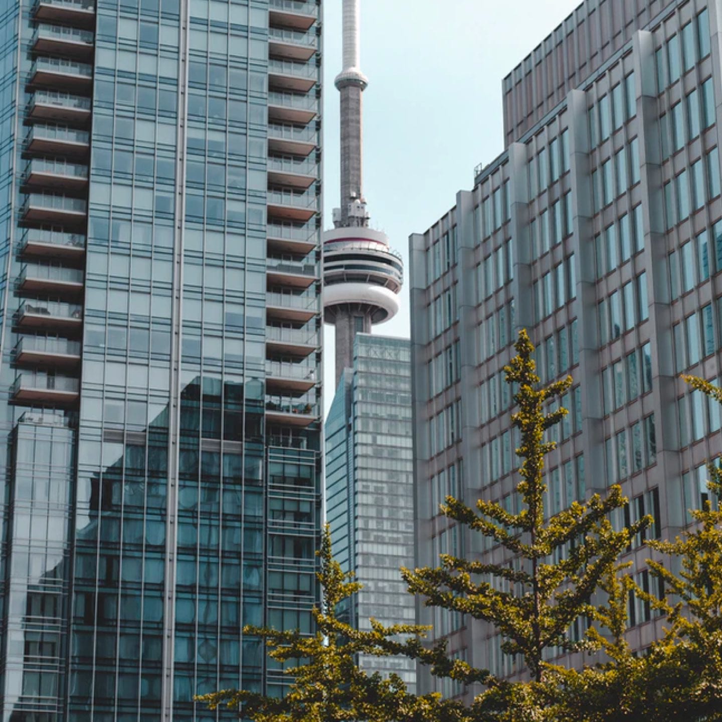 West End & Downtown Toronto Neighbourhoods