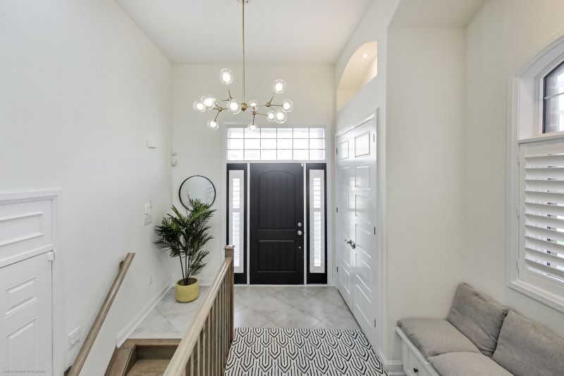 Bright interior entryway with black front door, white walls and closet with palm plant in yellow pot nearby
